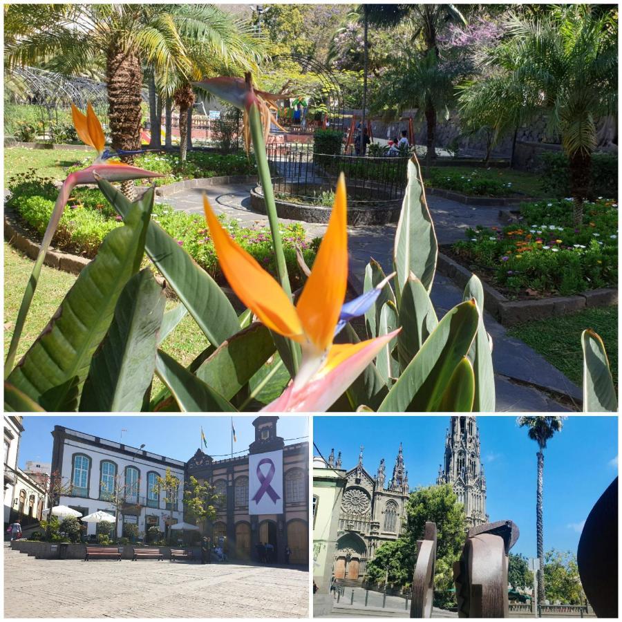 Casa Isabel Centro Historico Villa Arucas Ngoại thất bức ảnh