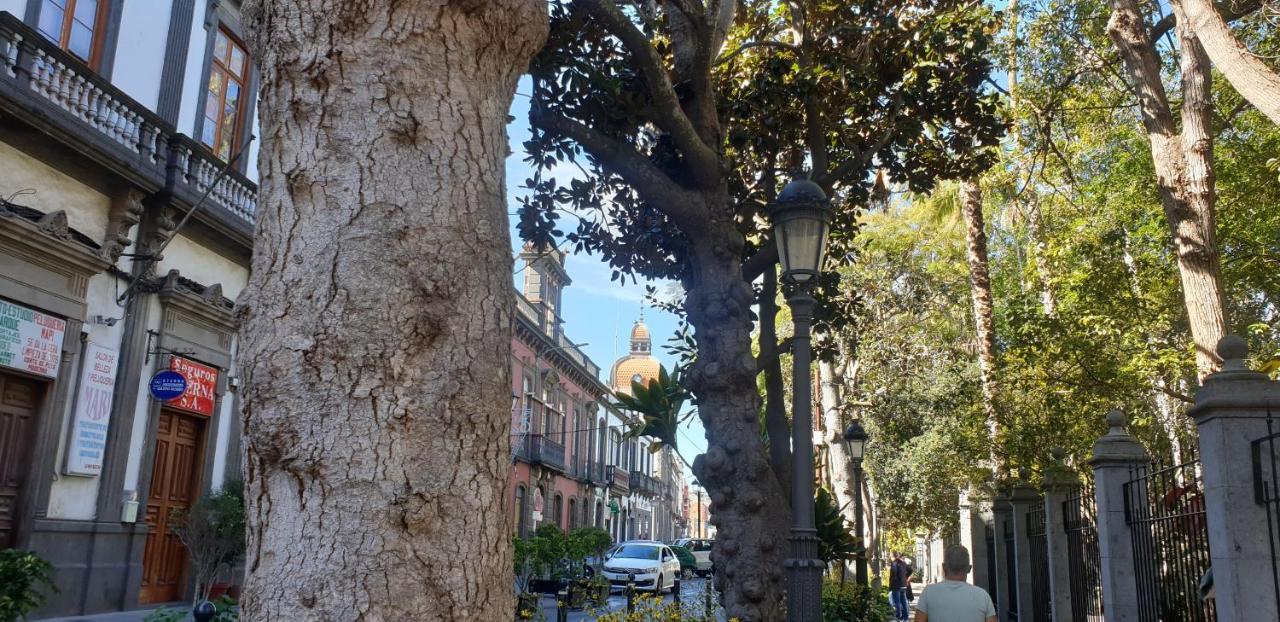 Casa Isabel Centro Historico Villa Arucas Ngoại thất bức ảnh